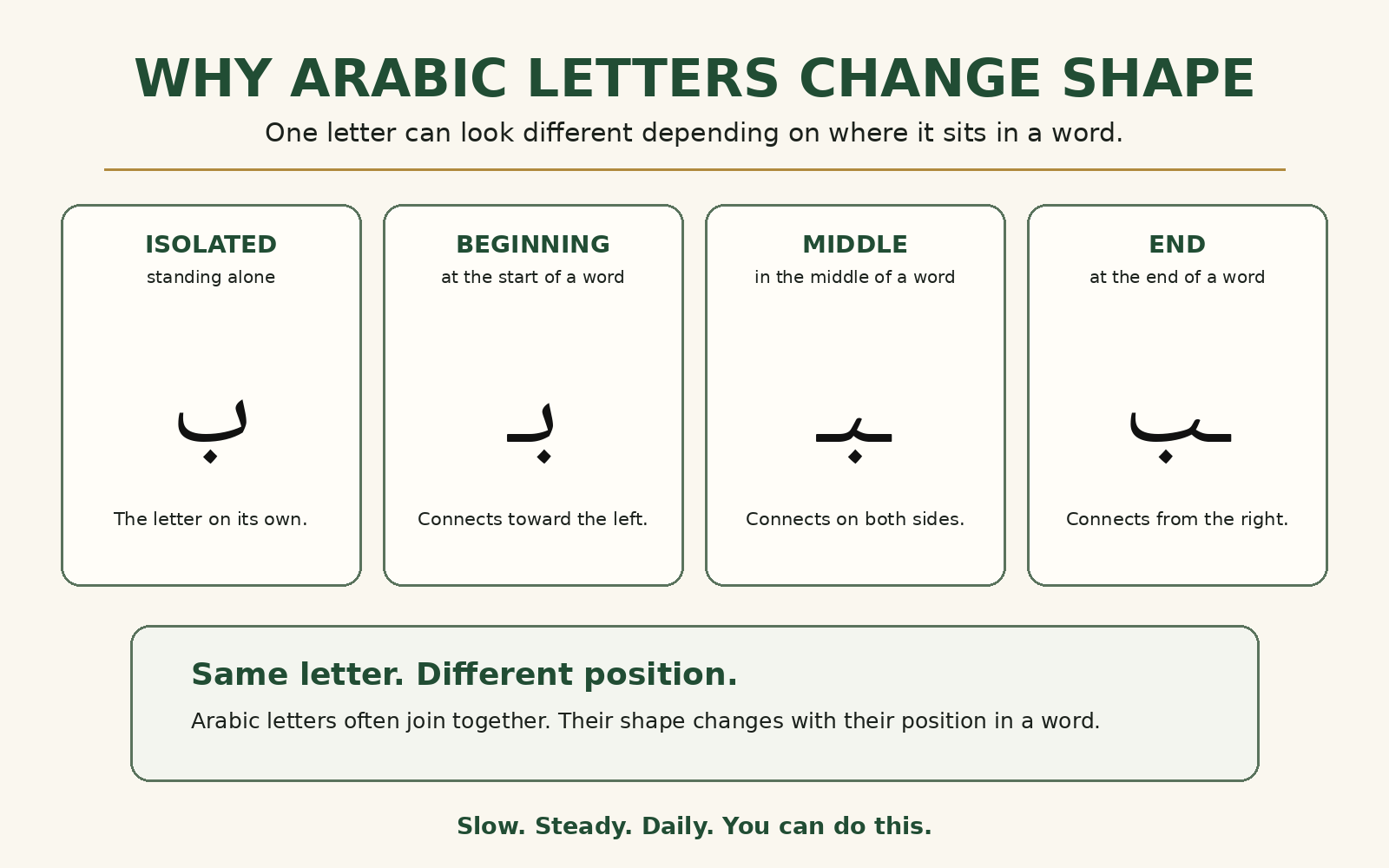 Beginner guide showing how the Arabic letter ba changes when isolated, at the beginning, in the middle, and at the end of a connected word.